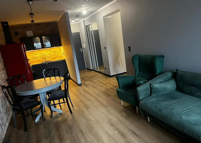 Apartament Z Widokiem Na Stadion Styl Industrialny Jedyny Taki Check In 24 H